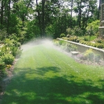 Residential Service Backyard