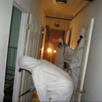 Bed bug elimination.