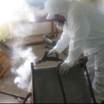 Bed bug heat treatment