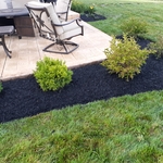 mulch