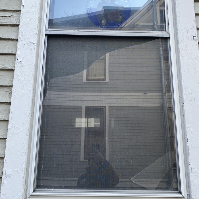 Windows