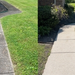 Quick sidewalk cleaning