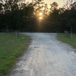 Driveway fence