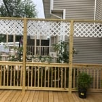 Our Work