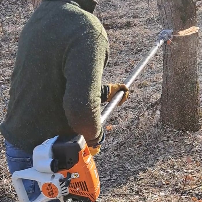Tree Removal