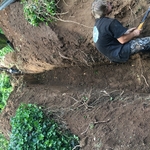 Water or Sewer Main installs or replacements
