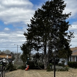 Photos of Work