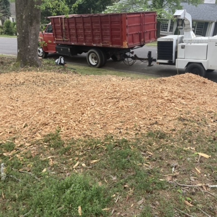 Our work