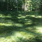 Front yard sod install