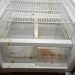 Deep Clean/Move Out