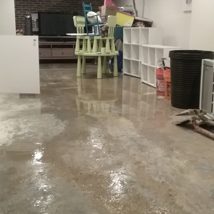 Flooded Basement