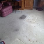 Before the clean