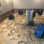 Miscellaneous work photos