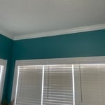 Wall and ceiling Paint Project