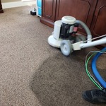 Carpet Cleaning