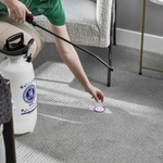 Carpet Cleaning