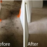 Carpet Cleaning