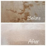Carpet Cleaning