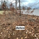 Spring Yard Cleanup