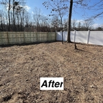 Spring Yard Cleanup