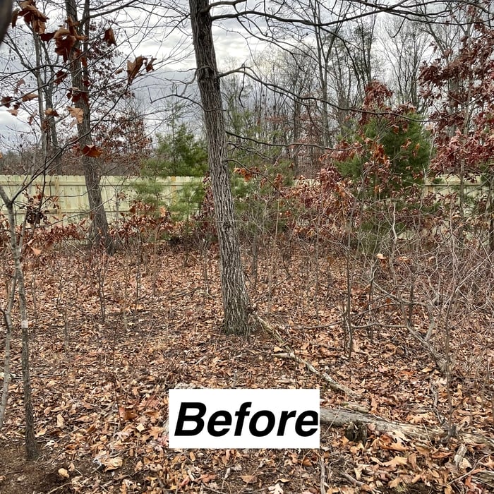 Spring Yard Cleanup