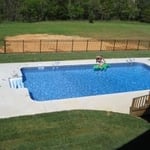 Swim Alligator, Swim!!