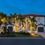Palm Serenity