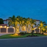 Palm Serenity