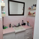 Cleaning and Organizing Post Construction Remodel