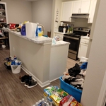 One time House Cleaning