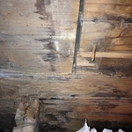 Water Damage Specialists