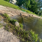 Shore