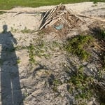Shore