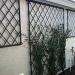 Custom made trellis front walkway
