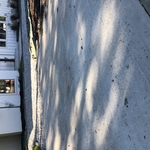 Hillcrest