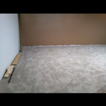 Carpet and Drywall
