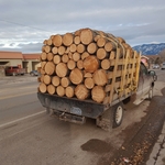 2 loads fir