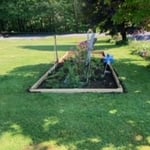 Planter Maintenance and Lawn Care