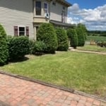 After Shrub Trimming