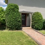 After Shrub Trimming