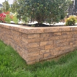 My Projects