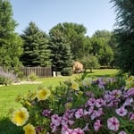 yard maintenance