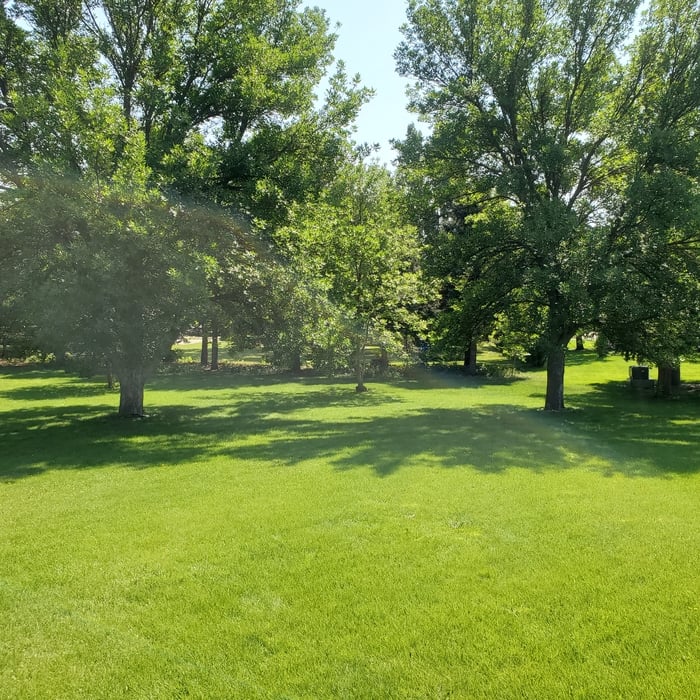 yard maintenance