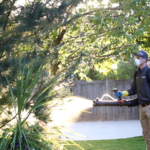 Hawx Pest Control