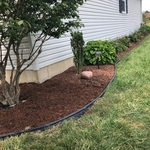 Landscape border Install