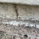 Outside subterranean termite tubes