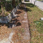Yard Maintainance