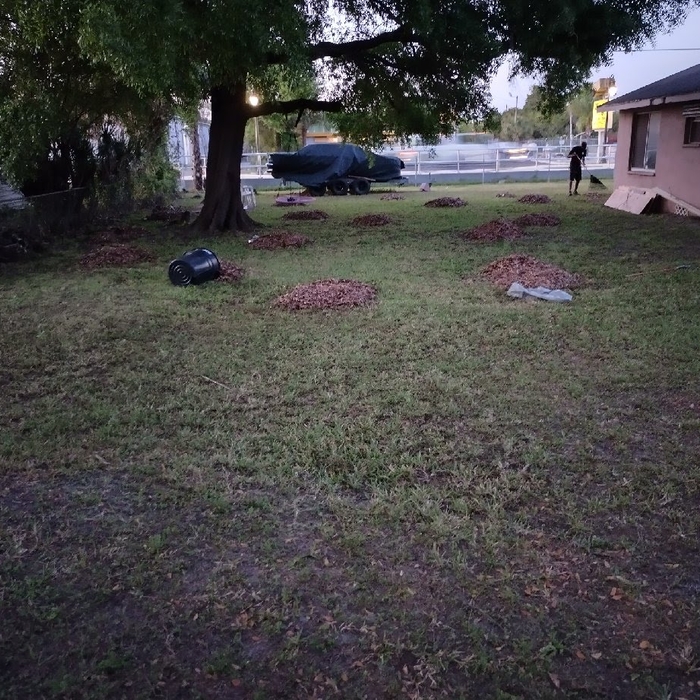 Yard Maintainance