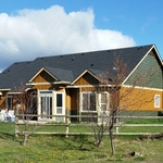 Back Yard - Before