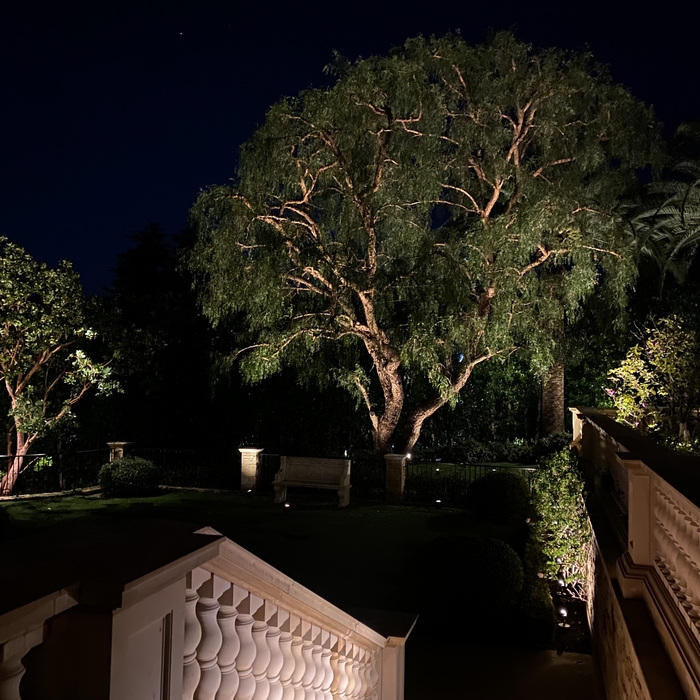 Extensive outdoor lighting